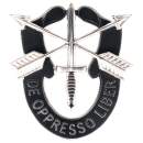 Special Forces Crest, insignia, crest, military insignia, military insignias, pin, military pins