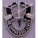 Special Forces Crest, insignia, crest, military insignia, military insignias, pin, military pins