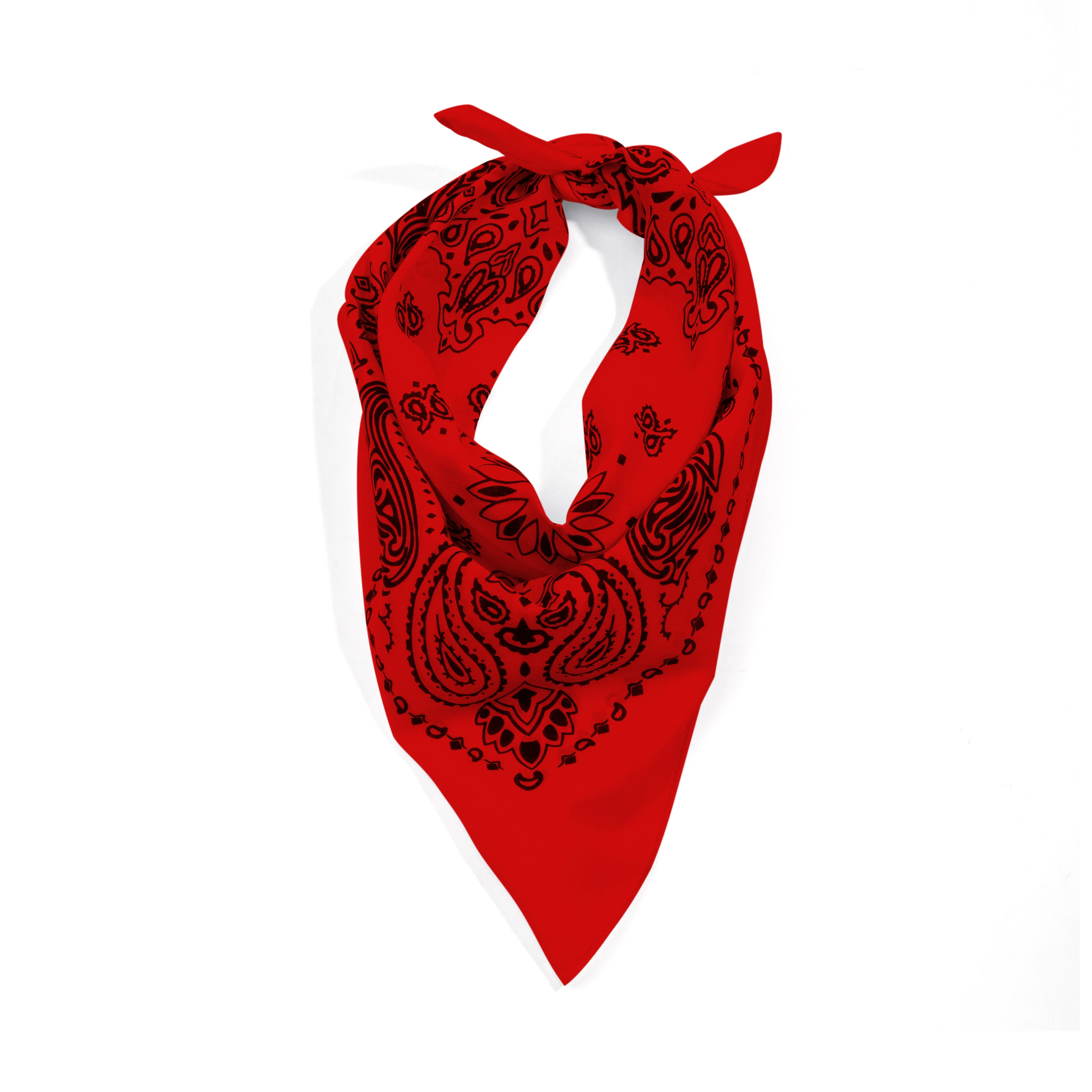Rothco Trainmen Paisley Bandana - 22 X 22