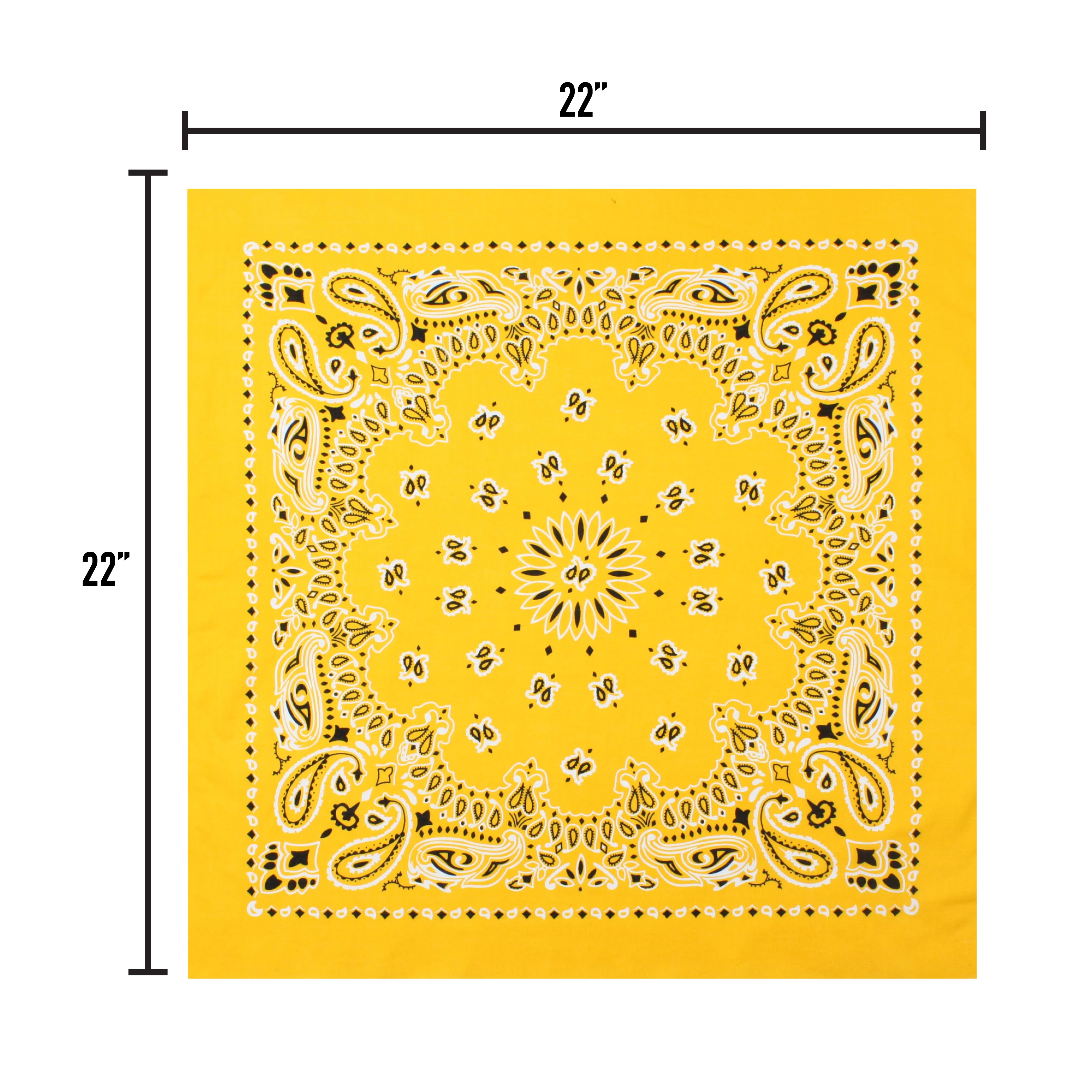 Rothco Trainmen Paisley Bandana - 22