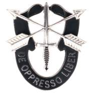 Special Forces Crest, insignia, crest, military insignia, military insignias, pin, military pins