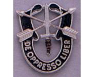 Special Forces Crest, insignia, crest, military insignia, military insignias, pin, military pins