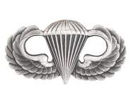 parawing pin, para wing pin, pin, military pin, military symbols, army, army parachutist, parachutist, army parachute pin, 