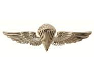 Rothco USN-USMC Parawing Pin, marines pin, usn, usmc, military insignia, parawing, military pin                                        