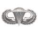 parawing pin, para wing pin, pin, military pin, military symbols, army, army parachutist, parachutist, army parachute pin, 