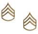 Staff Sergeant Polished Insignia, staff sergeant insignia, insignia, pin, SSgt, rothco